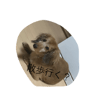 愛犬好きにどうぞ（個別スタンプ：7）