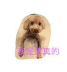 Do you like me？（個別スタンプ：4）