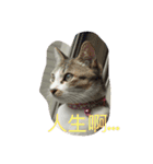 Do you like me？（個別スタンプ：8）