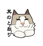 悟り猫3（個別スタンプ：2）