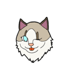 悟り猫3（個別スタンプ：4）