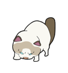 悟り猫3（個別スタンプ：6）