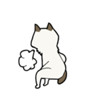 悟り猫3（個別スタンプ：8）