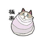 悟り猫3（個別スタンプ：9）