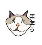 悟り猫3（個別スタンプ：12）