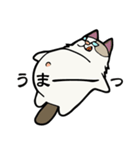 悟り猫3（個別スタンプ：13）