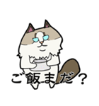 悟り猫3（個別スタンプ：14）