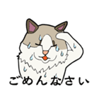 悟り猫3（個別スタンプ：15）