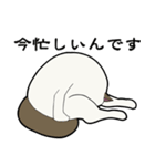 悟り猫3（個別スタンプ：16）