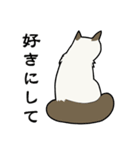 悟り猫3（個別スタンプ：20）