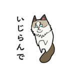 悟り猫3（個別スタンプ：23）