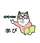 悟り猫3（個別スタンプ：24）