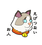 悟り猫3（個別スタンプ：25）
