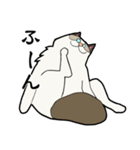 悟り猫3（個別スタンプ：27）