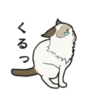悟り猫3（個別スタンプ：28）