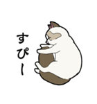 悟り猫3（個別スタンプ：29）