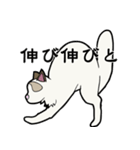悟り猫3（個別スタンプ：30）