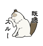 悟り猫3（個別スタンプ：33）