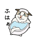 悟り猫3（個別スタンプ：35）
