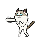 悟り猫3（個別スタンプ：36）