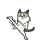 悟り猫3（個別スタンプ：37）