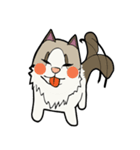 悟り猫3（個別スタンプ：38）