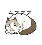 悟り猫3（個別スタンプ：39）