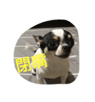 Baarida（個別スタンプ：6）