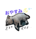 今日もらおうまる。（個別スタンプ：7）