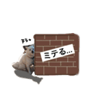 今日もらおうまる。（個別スタンプ：18）