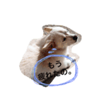 今日もらおうまる。（個別スタンプ：19）