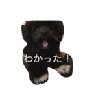 ピッピスタンプ2（個別スタンプ：14）