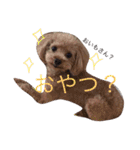 れのたんスケちゃん（個別スタンプ：7）