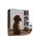 れのたんスケちゃん（個別スタンプ：10）