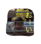 れのたんスケちゃん（個別スタンプ：16）