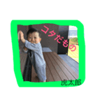 コタロウの日常4（個別スタンプ：5）