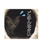 たむちゃんスタンプ 子猫編（個別スタンプ：17）