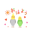 インコ・あいさつ（個別スタンプ：1）
