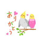 インコ・あいさつ（個別スタンプ：2）