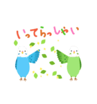 インコ・あいさつ（個別スタンプ：3）