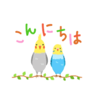 インコ・あいさつ（個別スタンプ：4）
