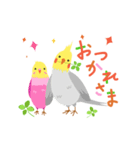 インコ・あいさつ（個別スタンプ：5）