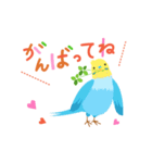 インコ・あいさつ（個別スタンプ：6）