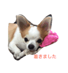 丁寧などうぶつたち（個別スタンプ：2）