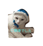 丁寧などうぶつたち（個別スタンプ：5）