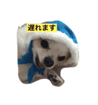 丁寧などうぶつたち（個別スタンプ：6）