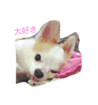 丁寧などうぶつたち（個別スタンプ：13）