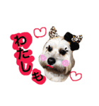 ミックス犬りょうま3（個別スタンプ：10）