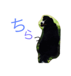 バーニーズ時々ベタ（個別スタンプ：3）