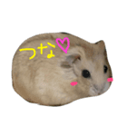 つなさん（個別スタンプ：4）
